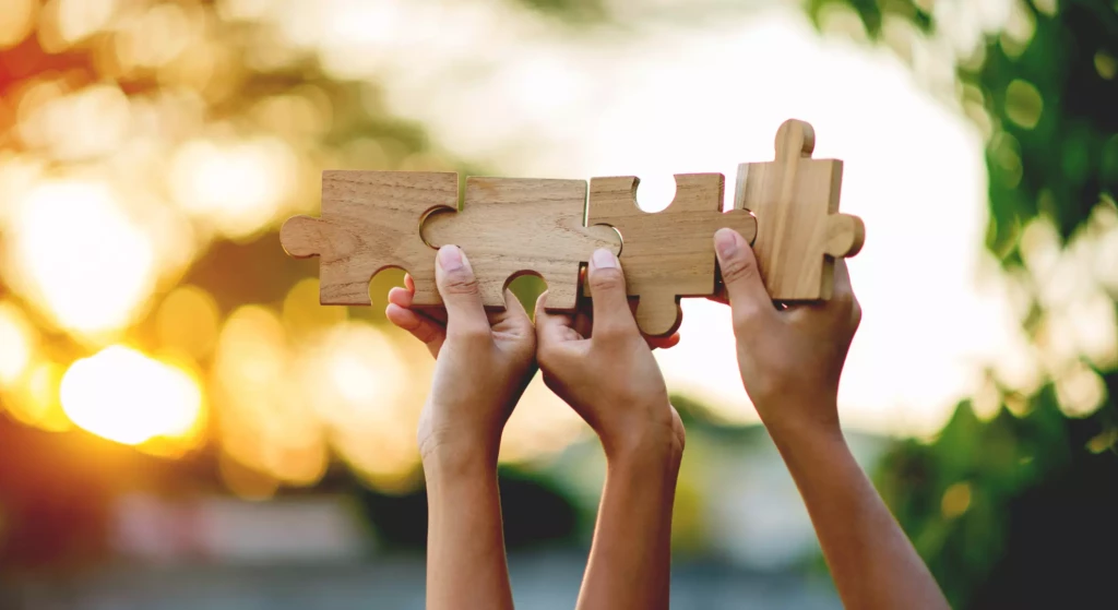 laurianter-sens-bilan-competence-reconversion-professionnelle-brive-correze-00011 puzzle assemblage ensemble